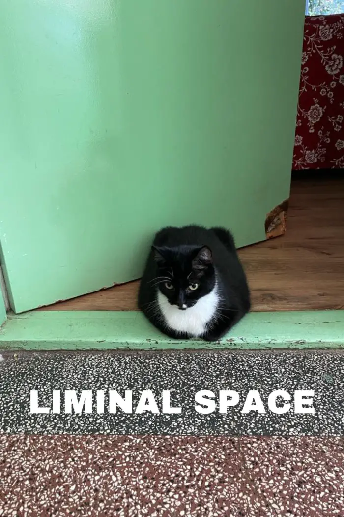 liminaliteit liminal space