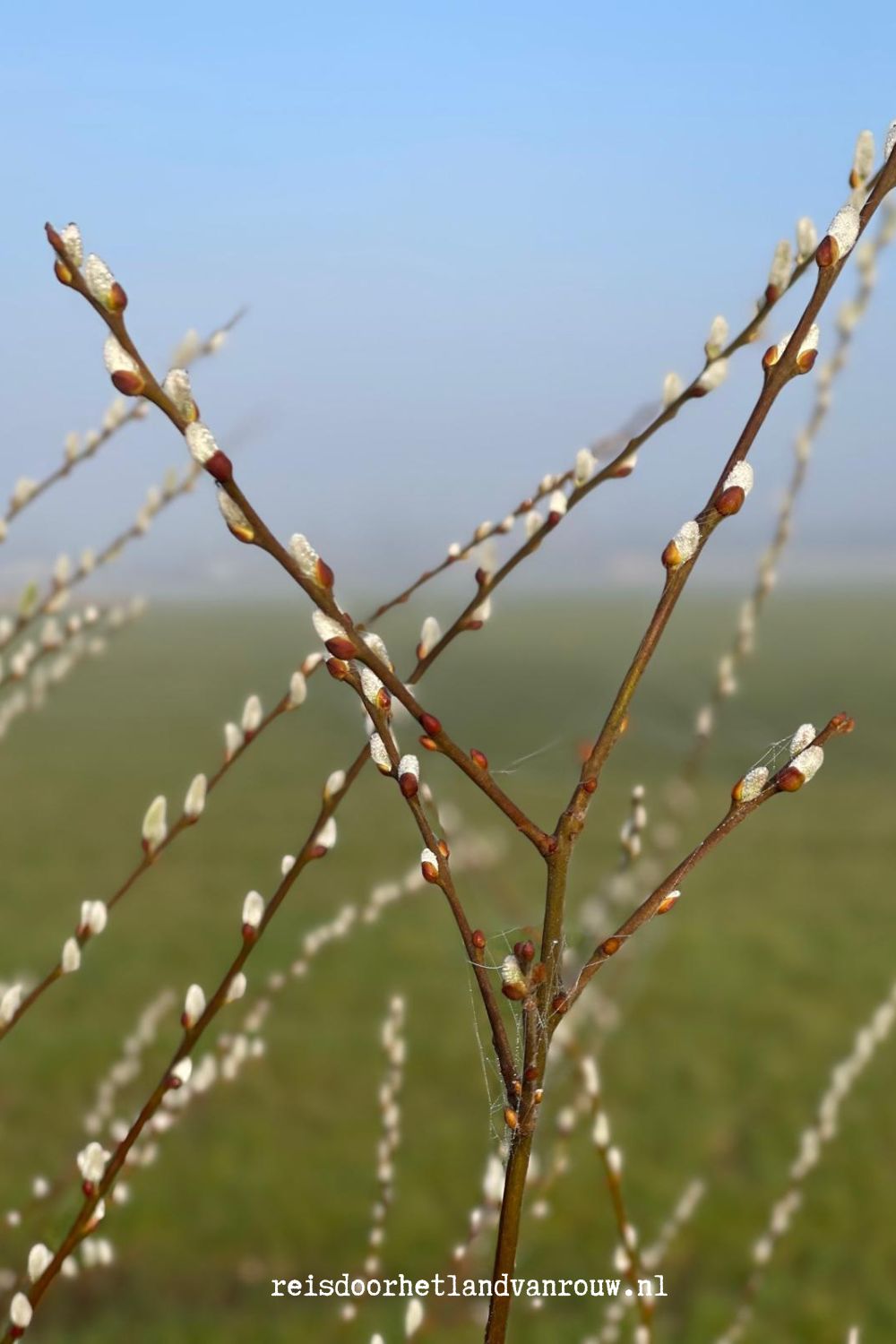 reis door het land van rouw hazelaar