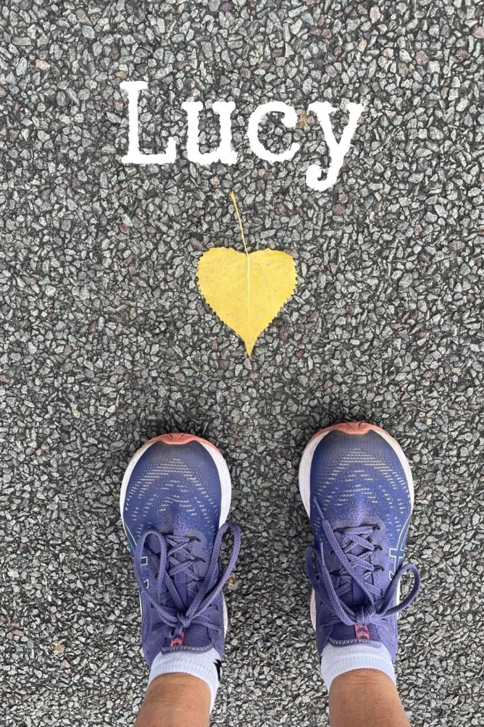 teken van lucy
