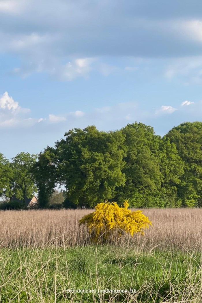 rouw en natuur