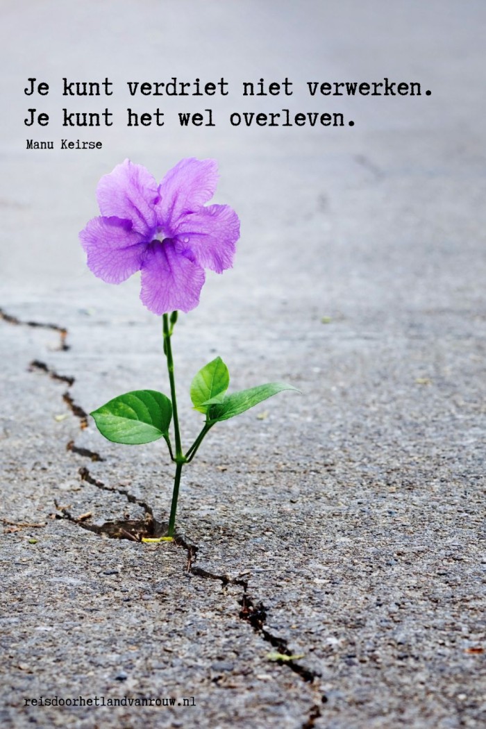 rouw quote 