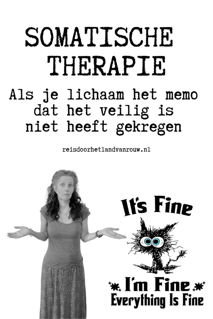 somatische therapie