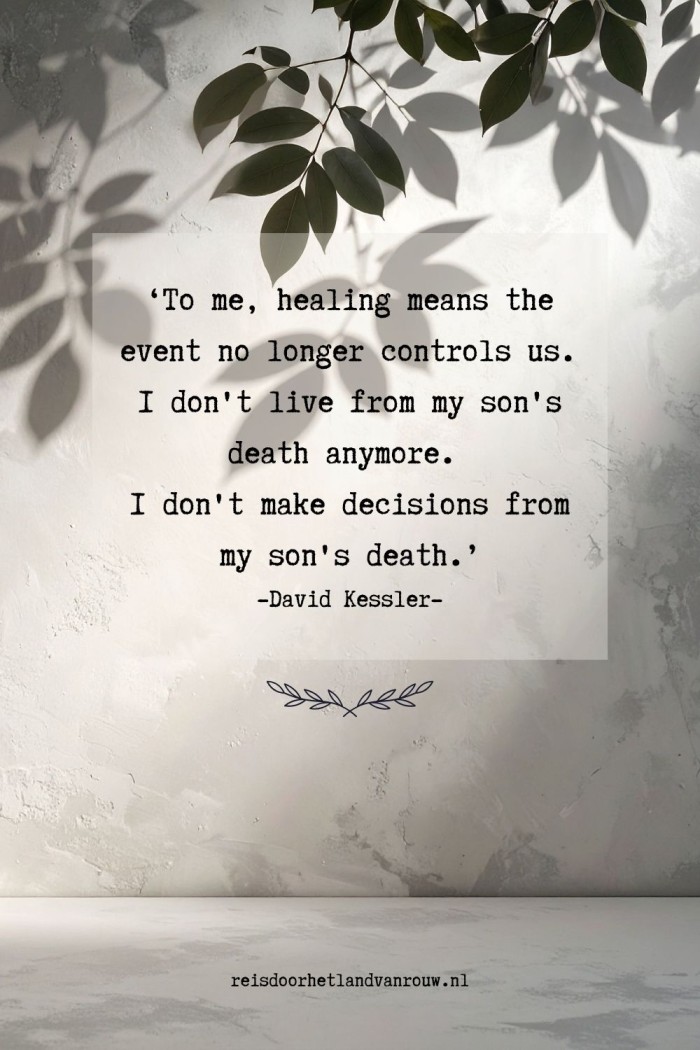 healing david kessler